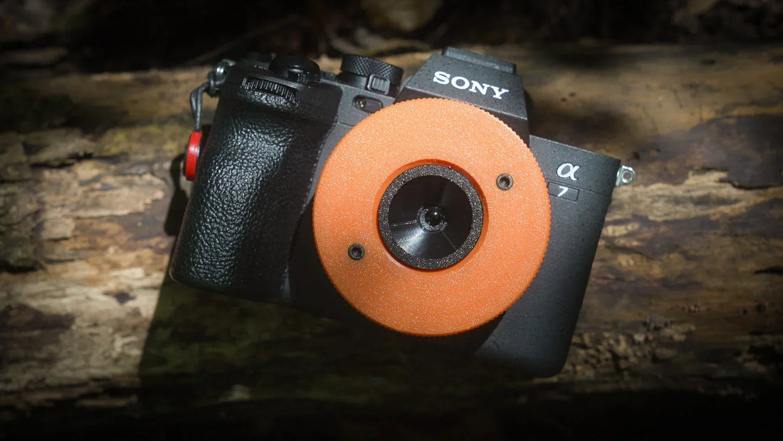 Why Disposable Camera Lenses Are So Good on Mirrorless Cameras